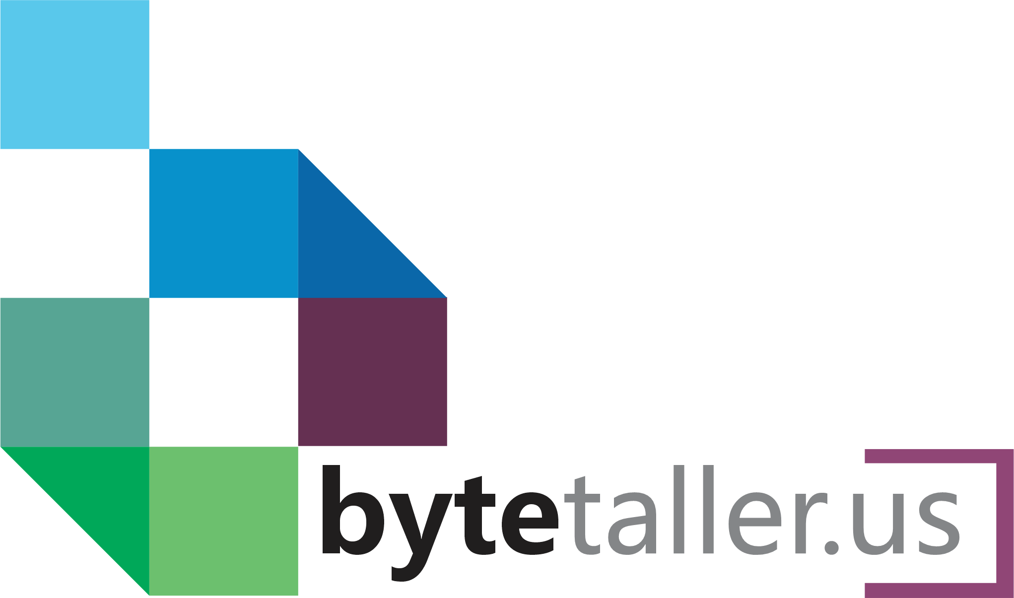ByteTaller Logo